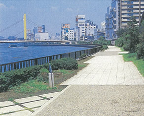 隅田川左岸テラス工事
